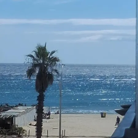 Sympa Tampico